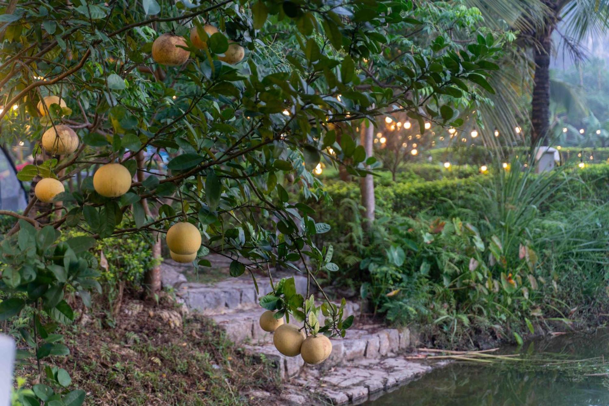 The Goat Boutique Resort Ninh Bình Ngoại thất bức ảnh